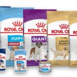 Subproductos para perros: qué se les puede dar y cómo elegirlos?