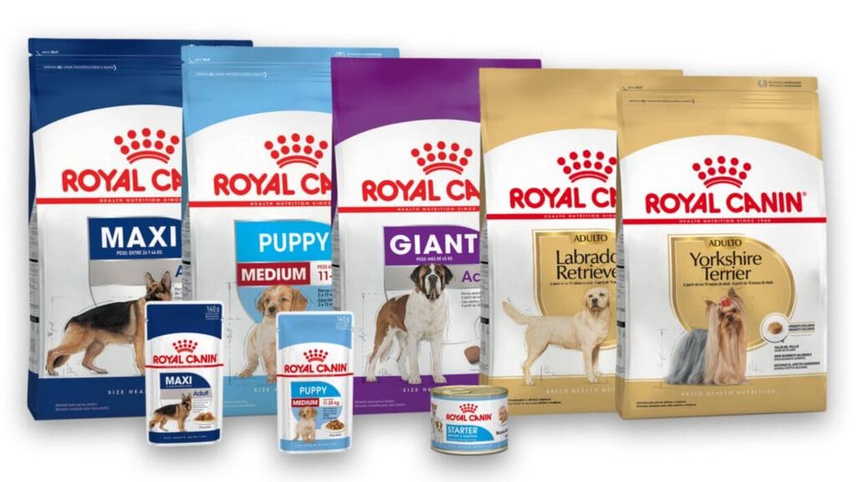 Subproductos para perros: qué se les puede dar y cómo elegirlos?