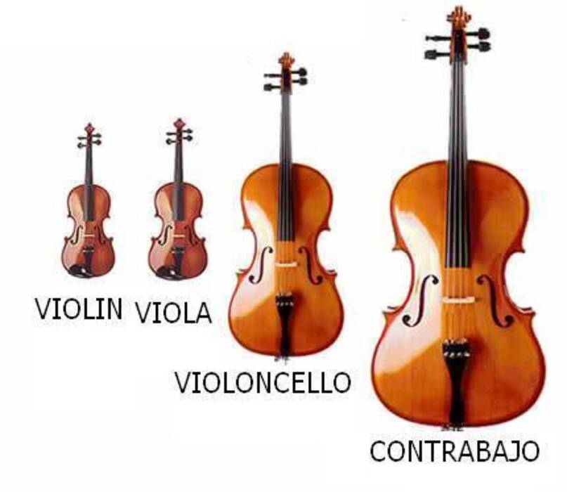 Qué es un contrabajo y cómo suena?