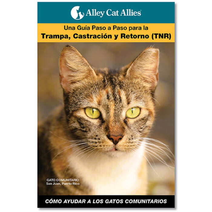 Qué hacer para que los gatos no marquen la puerta de entrada?