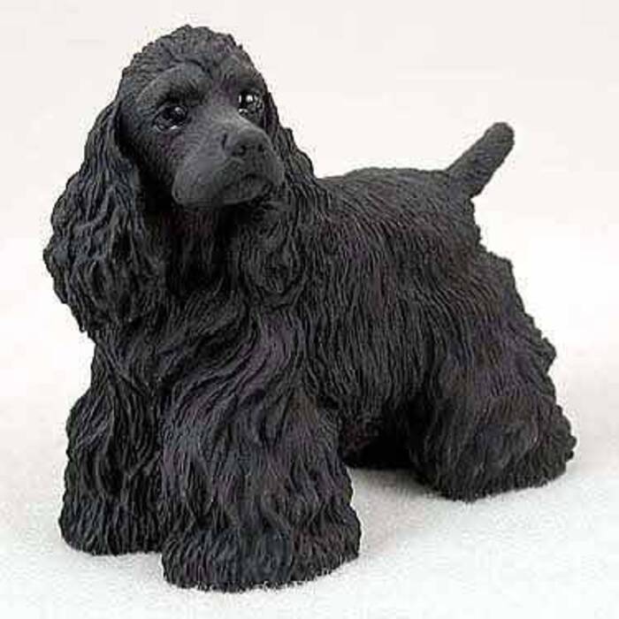 Spaniel ruso negro: descripción de los perros, su carácter y normas de cuidado