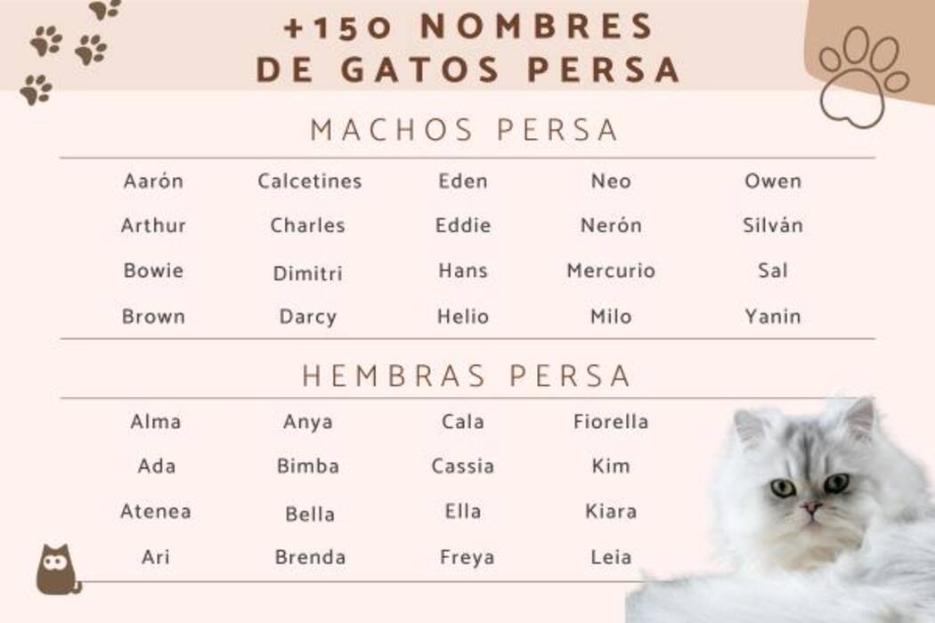Lista de nombres para cobayas